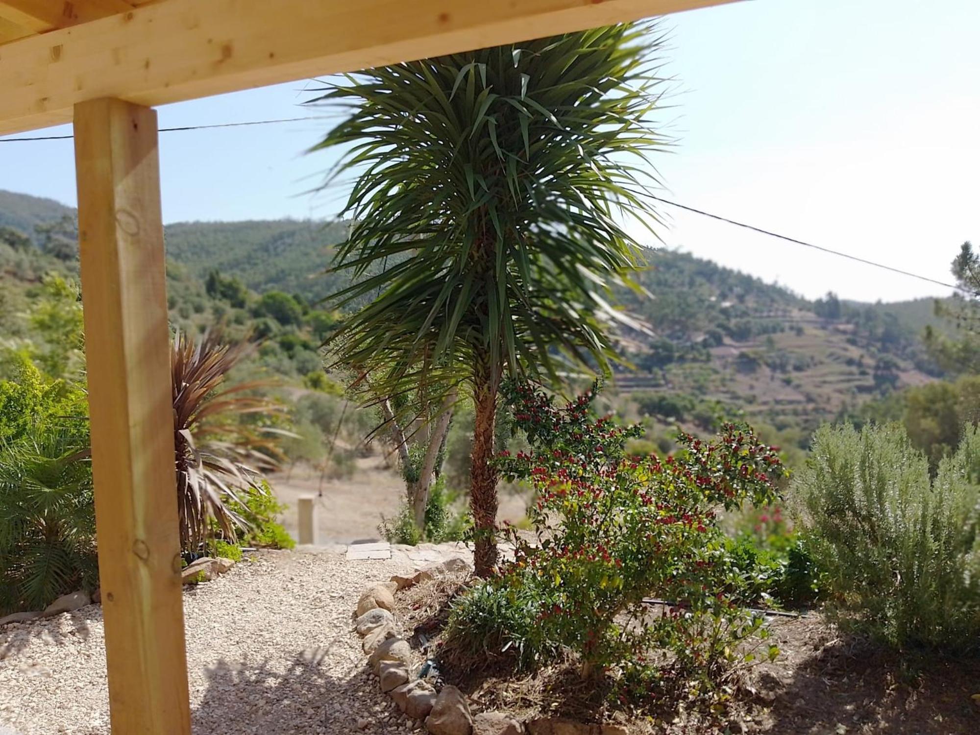 Casa De Celebrar A Vida Villa Monchique Ngoại thất bức ảnh